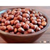 Hazelnut - Visit www.agriprices.com - Bulk Hazelnuts For Sale Wholesale Price