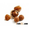 Premium Quality Organic Hazelnuts