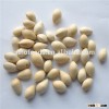Bai Guo Best Price dried Quality Ginkgo Nuts For Sale
