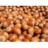 HAZELNUTS,TOP GRADE FOR SALE
