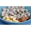 ginkgo nuts Ready for global sales