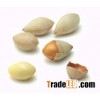 dry gingko nuts in shell