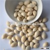 Bai Guo Best Quality Chinese herb Natural Ginkgo Nuts