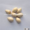 Bai Guo Quality Processed dried Raw Ginkgo Nuts