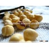 HAZELNUTS (Raw, Natural, Roasted and 100% Organic- Grade A- High Quality ) available in stock