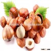 Hazelnut Raw without shell with skin in Bulk Package