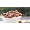 Best Quality Organic Raw Hazelnuts in China