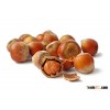 Wholesale hazelnut, Hazelnut buyers