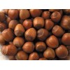 Organic Raw Hazelnuts