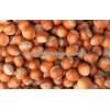 Hazelnuts