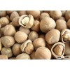 Excellent Quality Hazelnut at Attractive Price