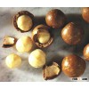 Raw Macadamia Nuts - Best Prices