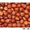 HAZELNUT (hazelnut) kernels from Georgia