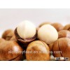 raw macadamia nuts, high quality with good price