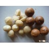 Macadamia nuts / Pistachio Nuts,Pine Nuts,Cashew Nuts,Macadamia Nut,Almond, Walnuts, Chest Nuts