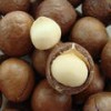 Macadamia Nuts