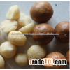 Raw Macadamia Nuts available