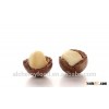 macadamia nuts in shell, good taste