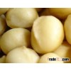 Premium Quality Macadamia Nuts and Kernels In 25kgs/bag, 50kgs/bag