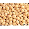 Organic Macadamia Nuts