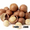 Best Quality Macadamia Nut