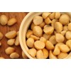 Macadamia Nuts - Raw or Kernels - Small & Large Orders with Free Samples