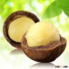 Chinese good taste Macadamia nuts in bulk