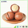 Chinese wholesale high quality Macadamia nuts