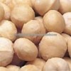 Premium Macadamia Nuts Kernals Origins Australia, U.S.A., Africa, Central America