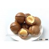 macadamia nuts for sale