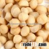 Macadamia Nuts