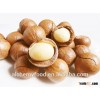 Green Food Chinese macadamia nuts