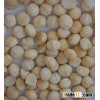 Raw Macadamia Nuts In 25kgs/bag, 50kgs/bag