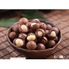 shelled Macadamia nuts price/ bulk Macadamia for sale