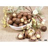 Macadamia nuts, raw, high quality, good price