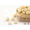 Wholesale Chinese macadamia kernel