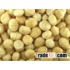 Raw Macadamia Nuts Kernel