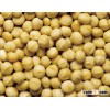 Good quality Raw Macadamia Nuts In 10kgs/bag, 25kgs/bag/Macadamia Nuts for sales