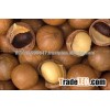 Macadamia Nuts