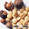 2016 Raw and Roasted Macadamia nuts Available!!