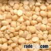 Raw Macadamia Halves