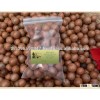 Raw Organic Macadamia Nuts In Shells
