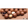 Raw Macadamia nuts With and Without shell from Thailand