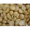 Macadamia Nuts Best Price available for sales
