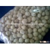 Cracked Macadamia Nuts Best Quality