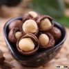 Dried Macadamia nuts from Thailand available for sale