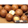 Raw Macadamia nuts for sale(With and Without Shell)