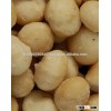 Premium Grade Raw Organic Macadamia Nuts 2016 Harvest