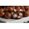 Roasted Macadamia Nuts With and Without Shells available (Best Price)