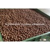 Best Quality Macadamia Nuts in shells 2016 harvest
